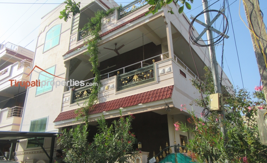 50 Anks South Facing G + 1 + Pent House #Resale Independent #HouseforSale Near #KesavayanaGunta, #Tirupati